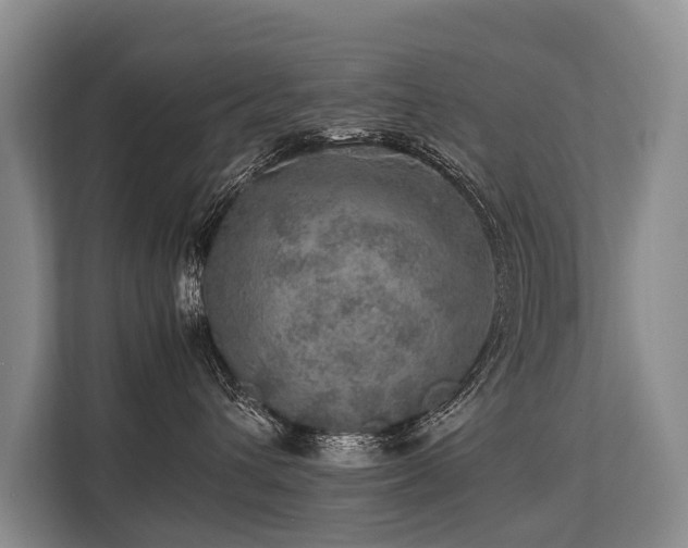 X0000113640432200909181500