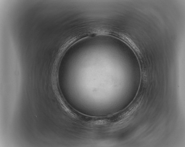 X0000113640433200909181500