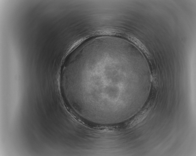 X0000113640434200909181500