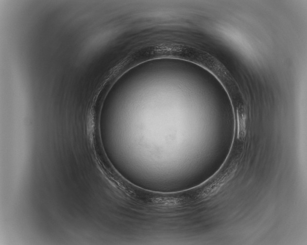 X0000113640435200909181500