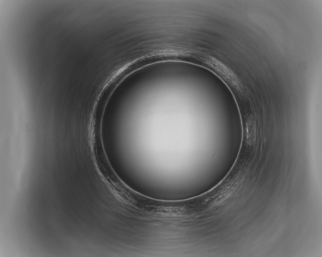 X0000113640436200909181500