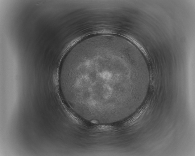 X0000113640437200909181500