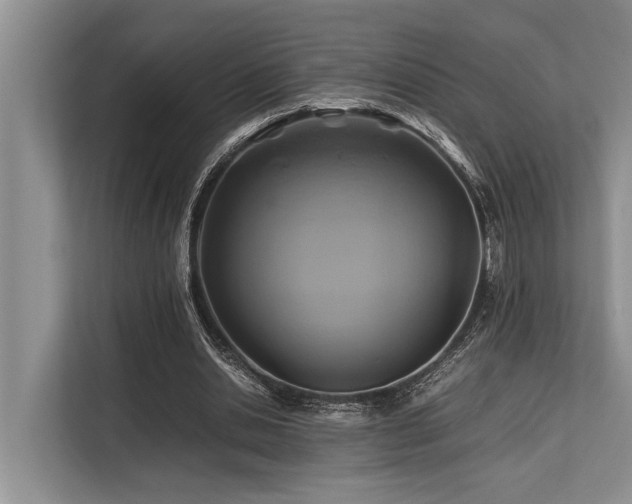 X0000113640438200909181500