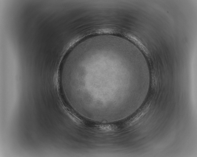 X0000113640439200909181500