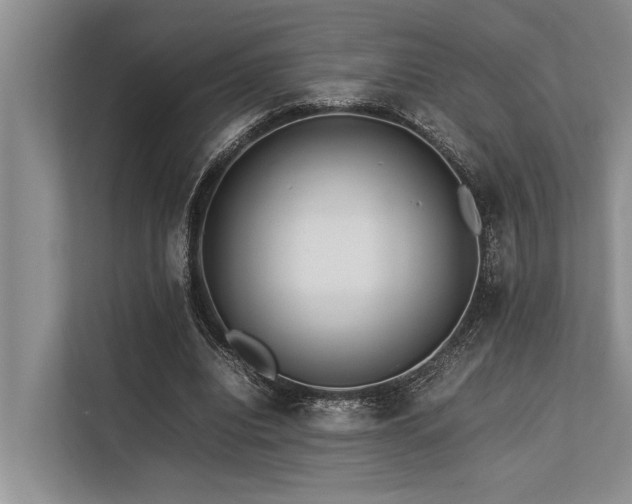 X0000113640440200909181500