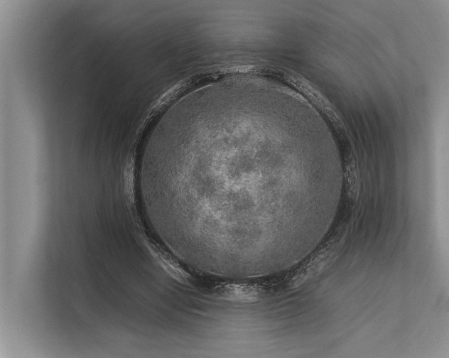 X0000113640442200909181500