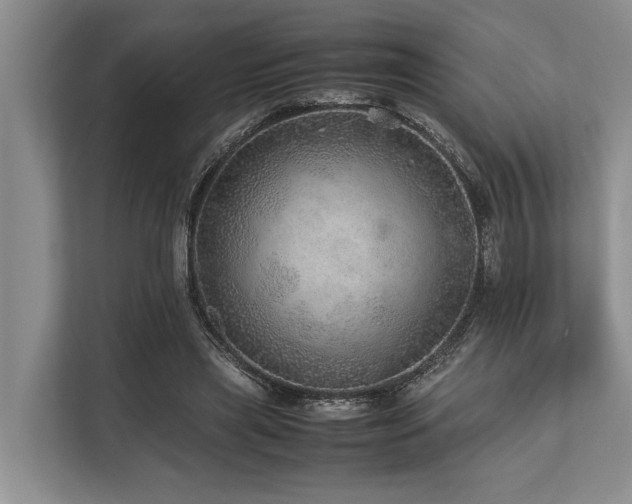 X0000113640445200909181500