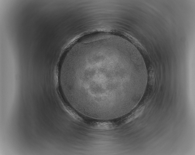 X0000113640446200909181500