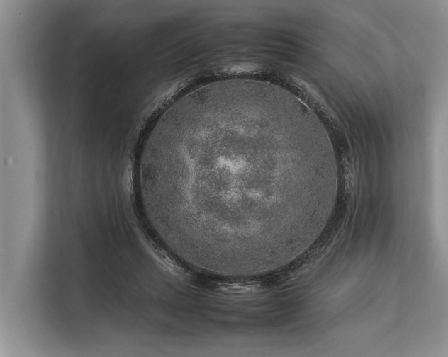 X0000113640447200909181500