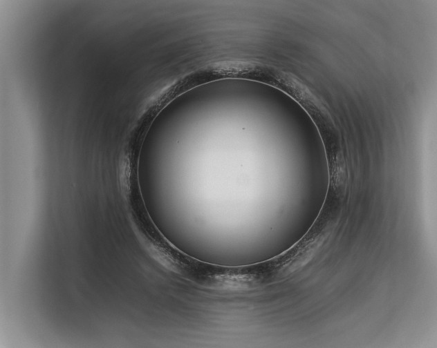 X0000113640448200909181500