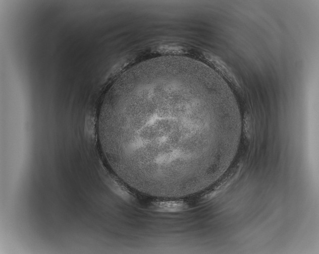 X0000113640449200909181500