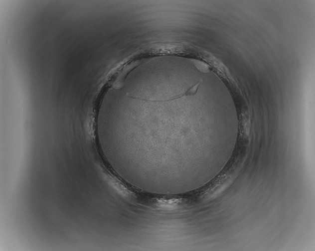 X0000113640450200909181500