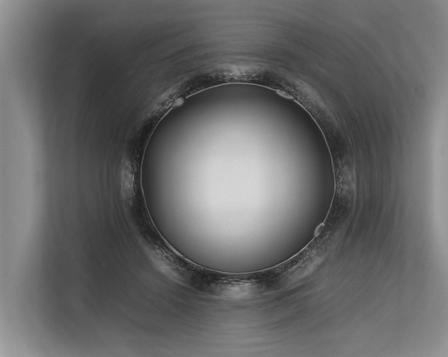 X0000113640456200909181500