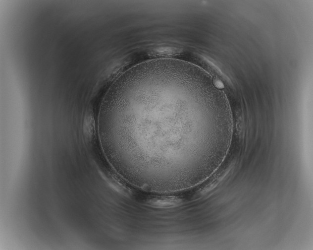 X0000113640459200909181500