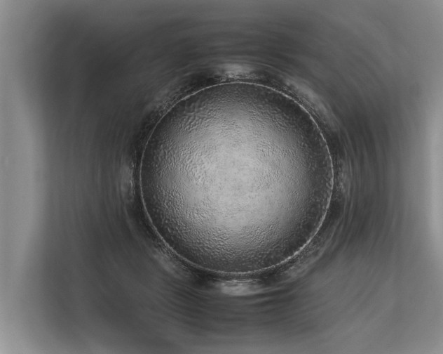 X0000113640461200909181500