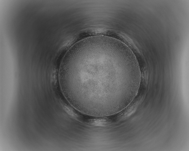 X0000113640462200909181500