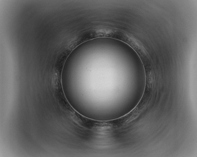 X0000113640463200909181500