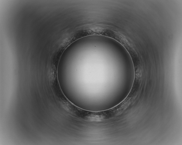 X0000113640464200909181500