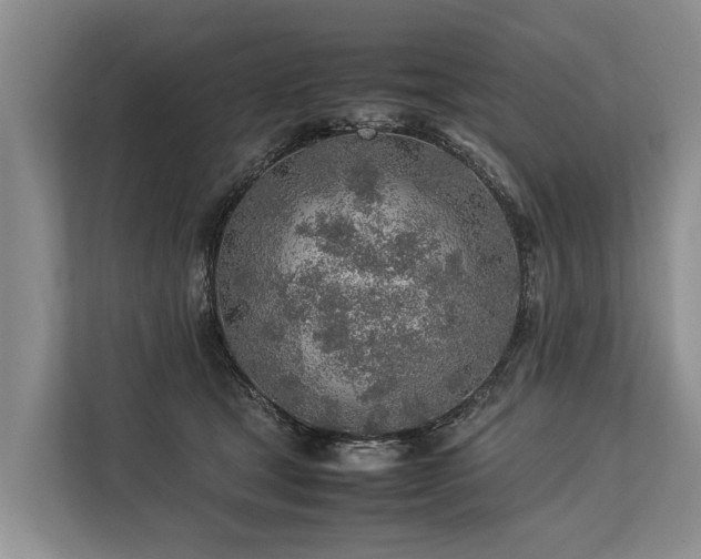 X0000113640465200909181500