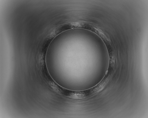 X0000113640466200909181500