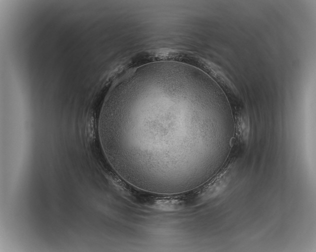 X0000113640470200909181500