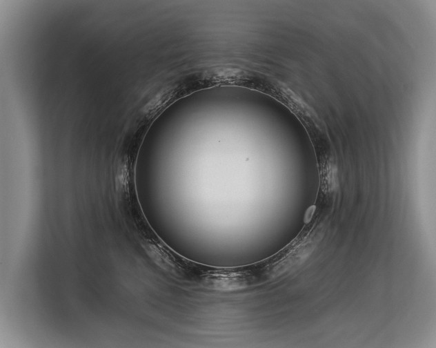 X0000113640472200909181500