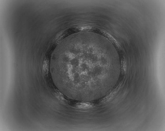 X0000113640475200909181500