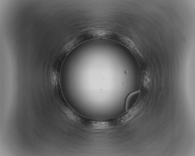 X0000113640476200909181500