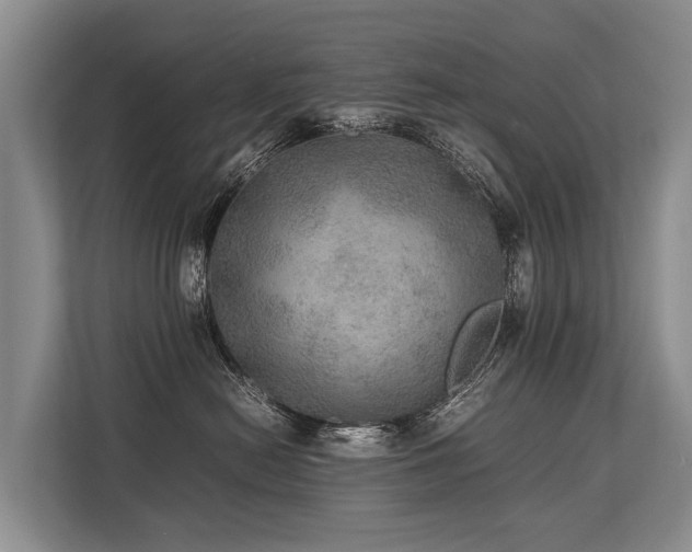 X0000113640478200909181500