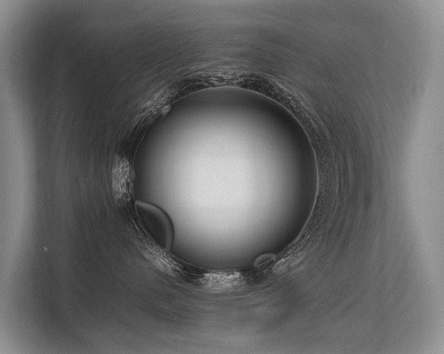 X0000113640480200909181500