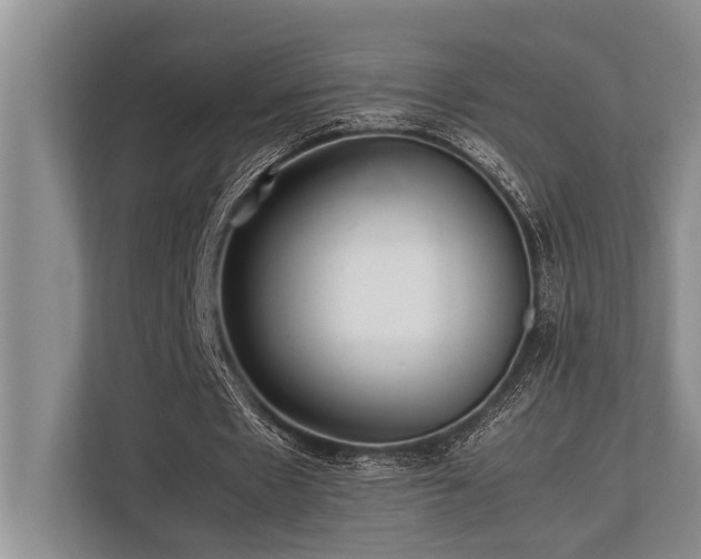 X0000113640481200909181459