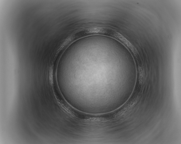 X0000113640482200909181459