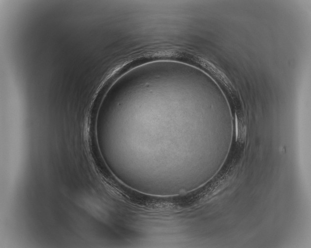 X0000113640483200909181459