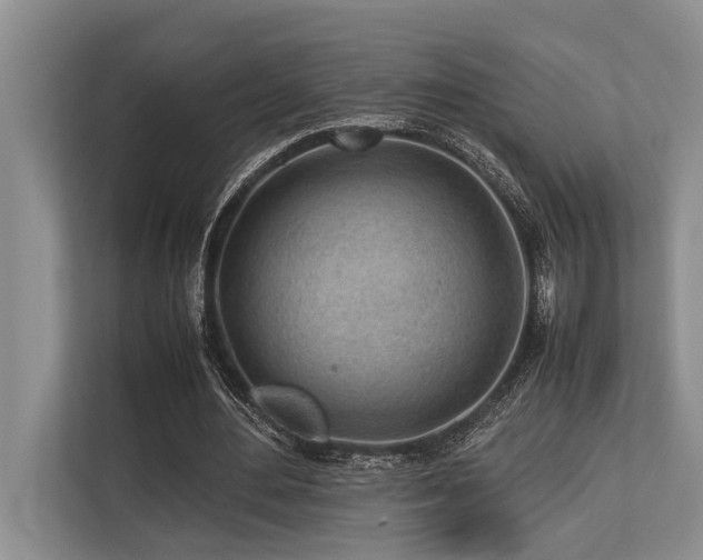 X0000113640484200909181459