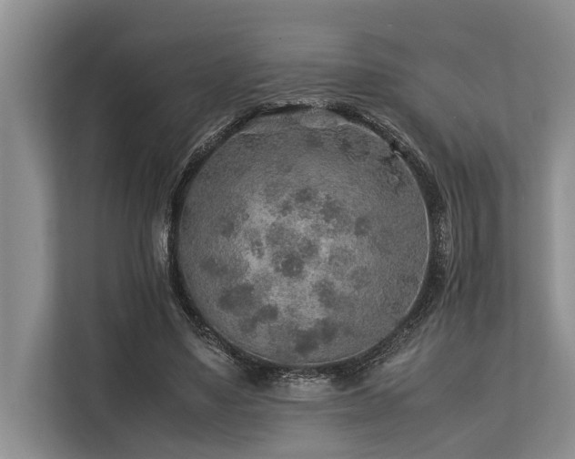 X0000113640491200909181459