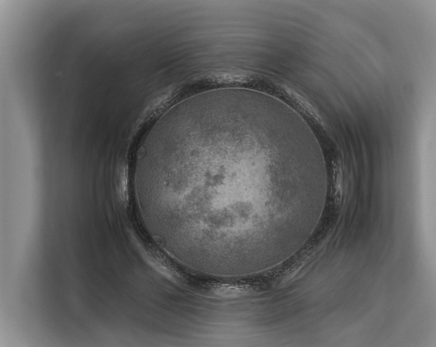 X0000113640494200909181459