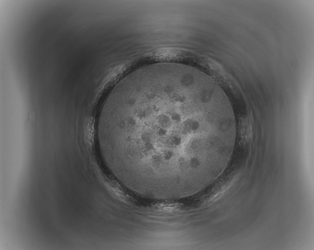 X0000113640495200909181459