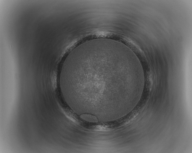 X0000113640496200909181459