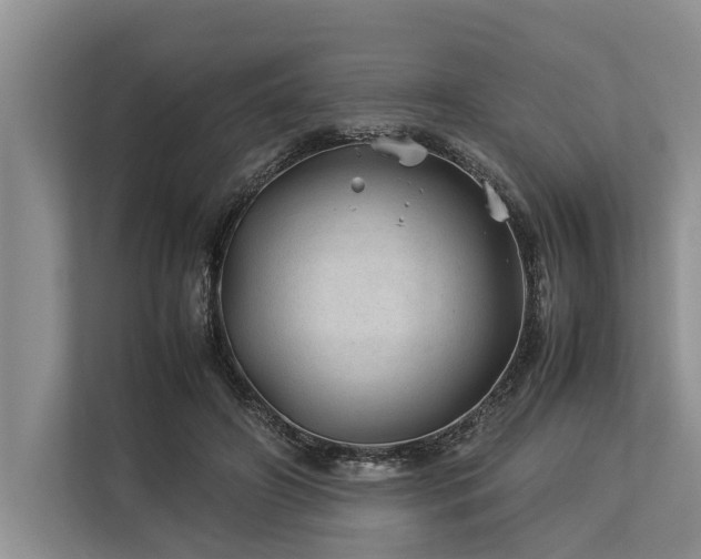 X0000113640498200909181459