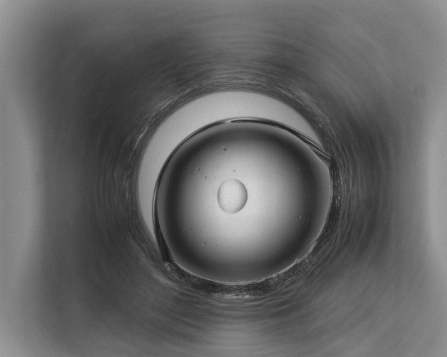 X0000113640500200909181459