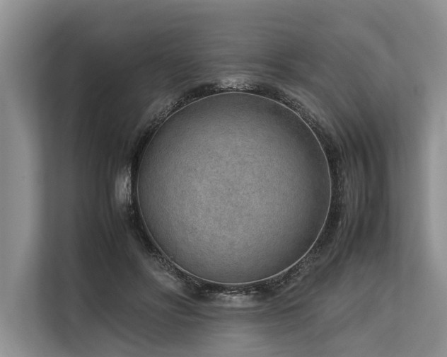 X0000113640502200909181459