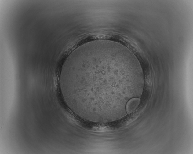 X0000113640503200909181459