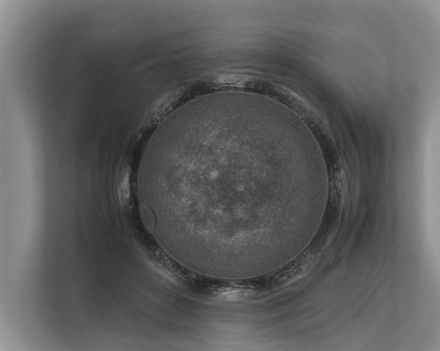 X0000113640504200909181459