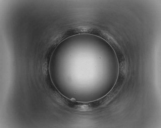 X0000113640509200909181459