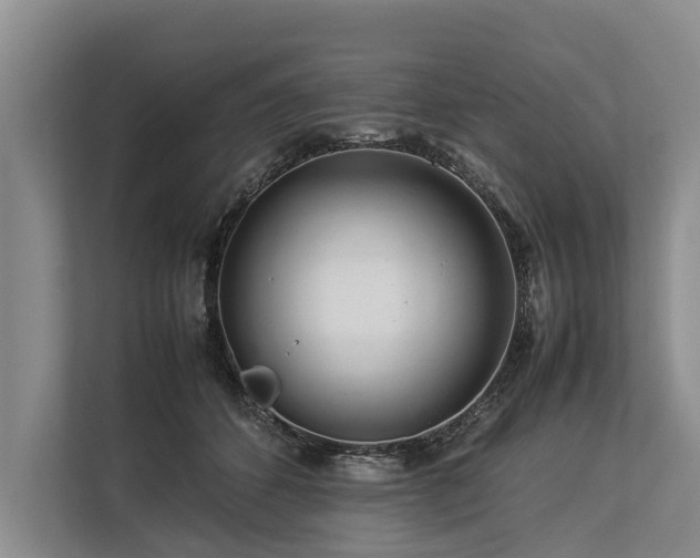 X0000113640512200909181459