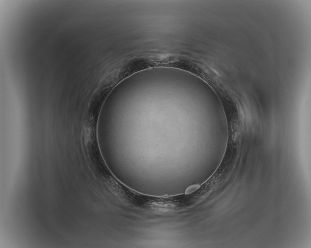 X0000113640515200909181459