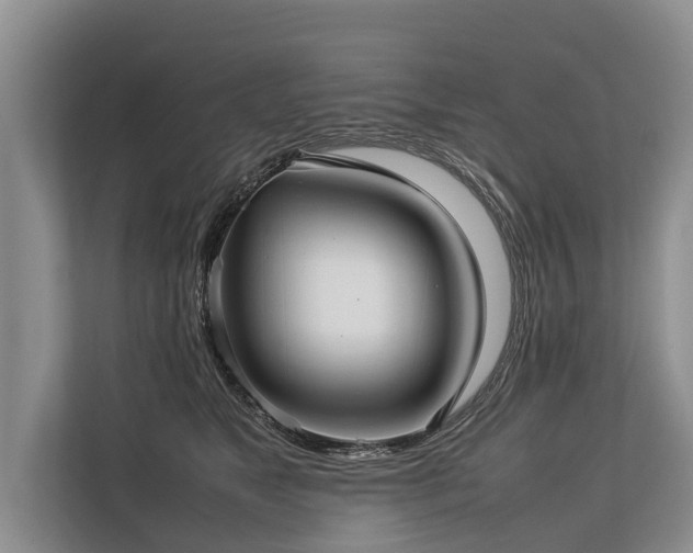 X0000113640517200909181459