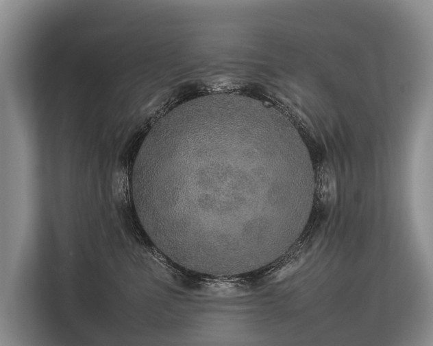 X0000113640523200909181459