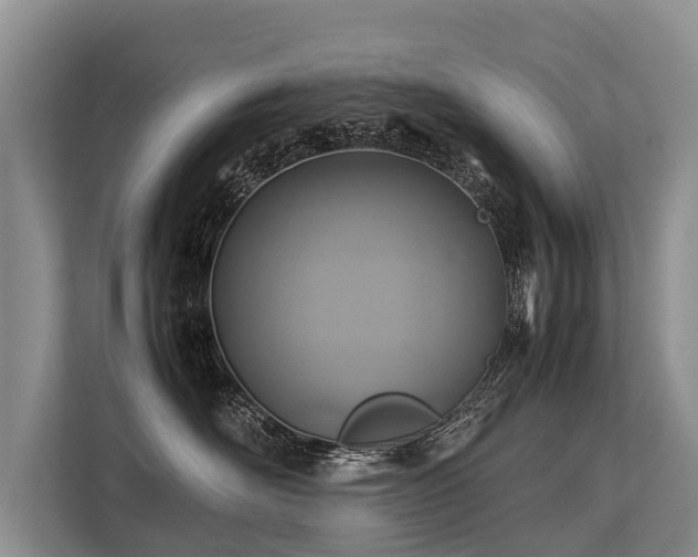 X0000113640526200909181459