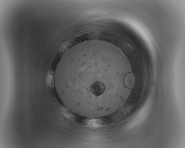 X0000113640527200909181459